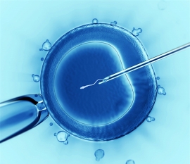 膀胱炎的危害是什么