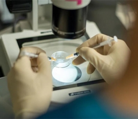 请问夫妻备孕前吃什么调理身体呢