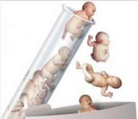 怀孕期间的饮食可以决定孩子寿命