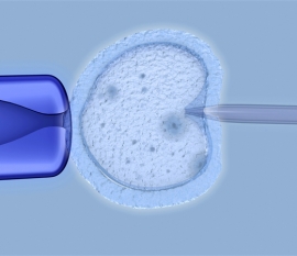 先天性风疹综合征是什么